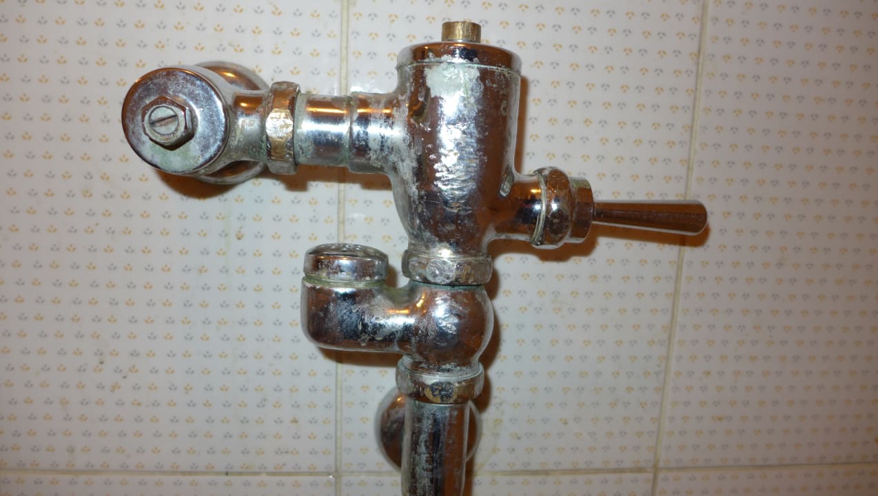 Zimmer Ghazala Gardens