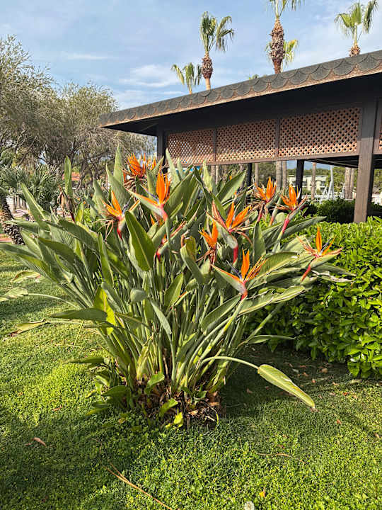 Außenansicht Limak Limra Hotel & Resort