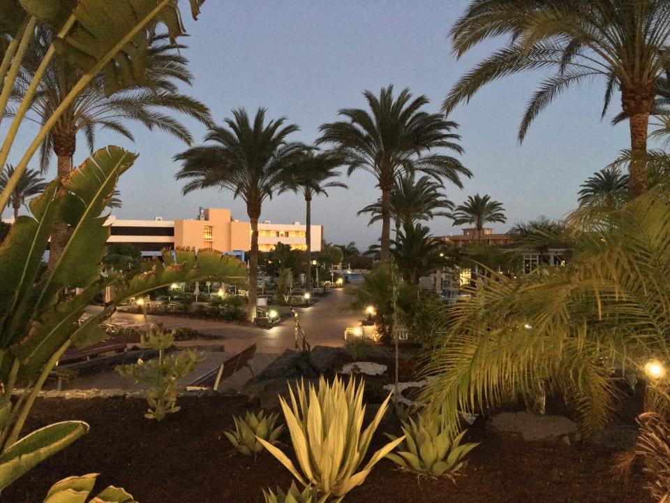 Gartenanlage Iberostar Waves Gaviotas Park