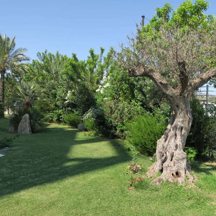 Hotel DoubleTree by Hilton Olbia DoubleTree by Hilton Olbia - Sardinia