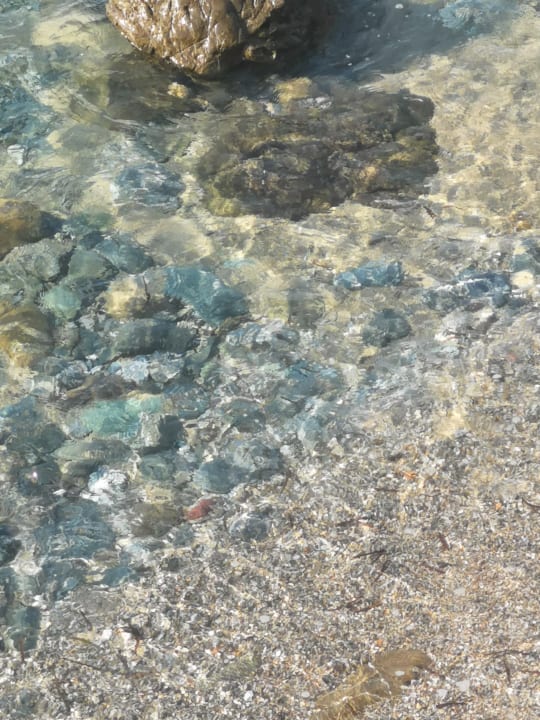 Strand Hotel Ferretti