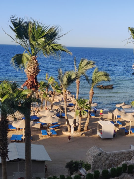 Strand Pickalbatros Citadel Resort