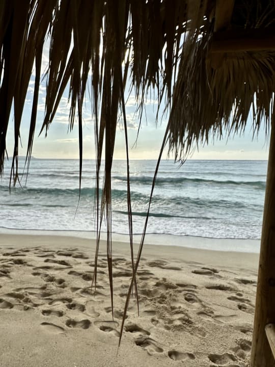 Strand Asterias Beach