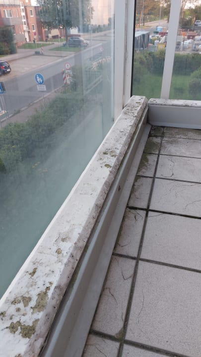 Ausblick Residenz Albatros