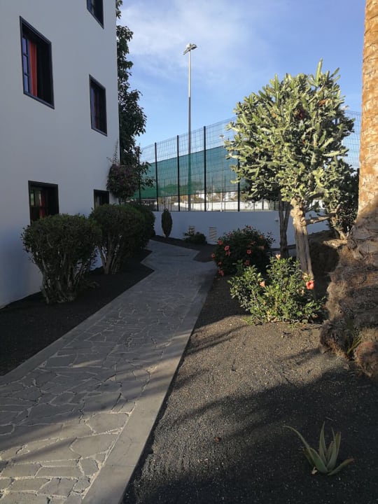 Gartenanlage allsun App.-Hotel Albatros