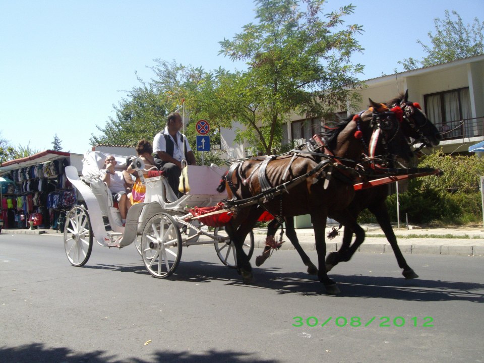 Kutschen Meliá Sunny Beach