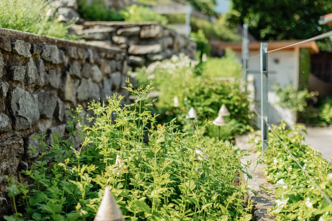 Gartenanlage Kräuterhotel Hochzillertal