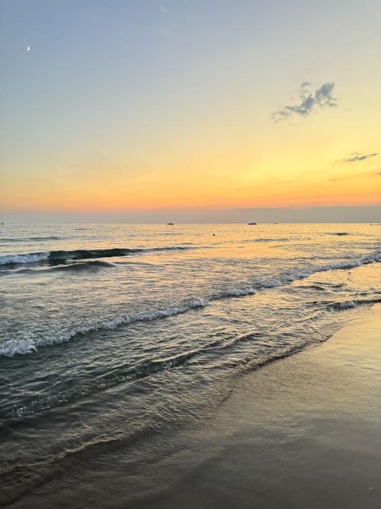 Strand Side Star Elegance