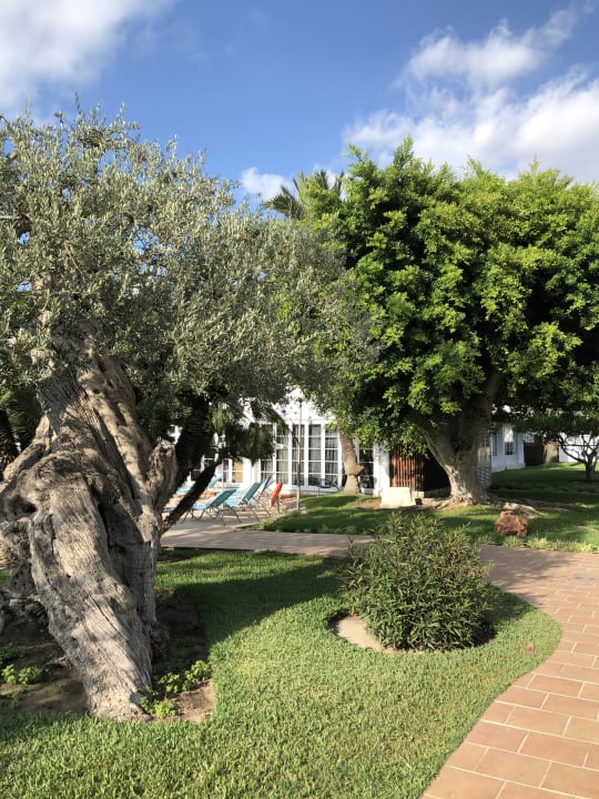 Gartenanlage Alcudia Garden Aparthotel