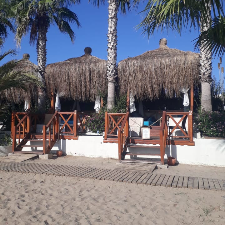 Strand Paloma Oceana