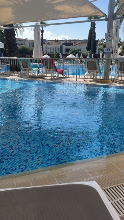 Pool Side Star Elegance