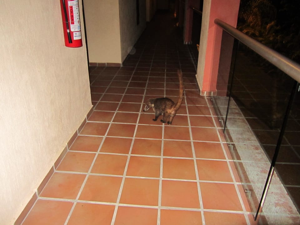 Sweet Sandos Playacar Beach Resort