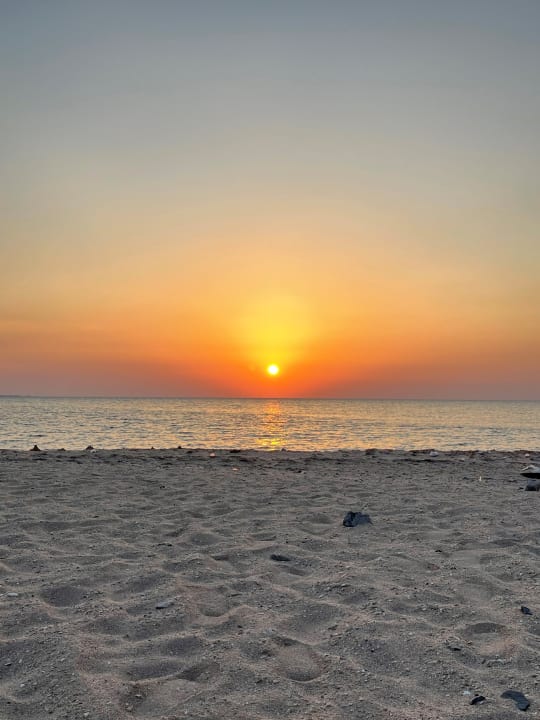 Strand Shams Prestige Abu Soma-Adults Only