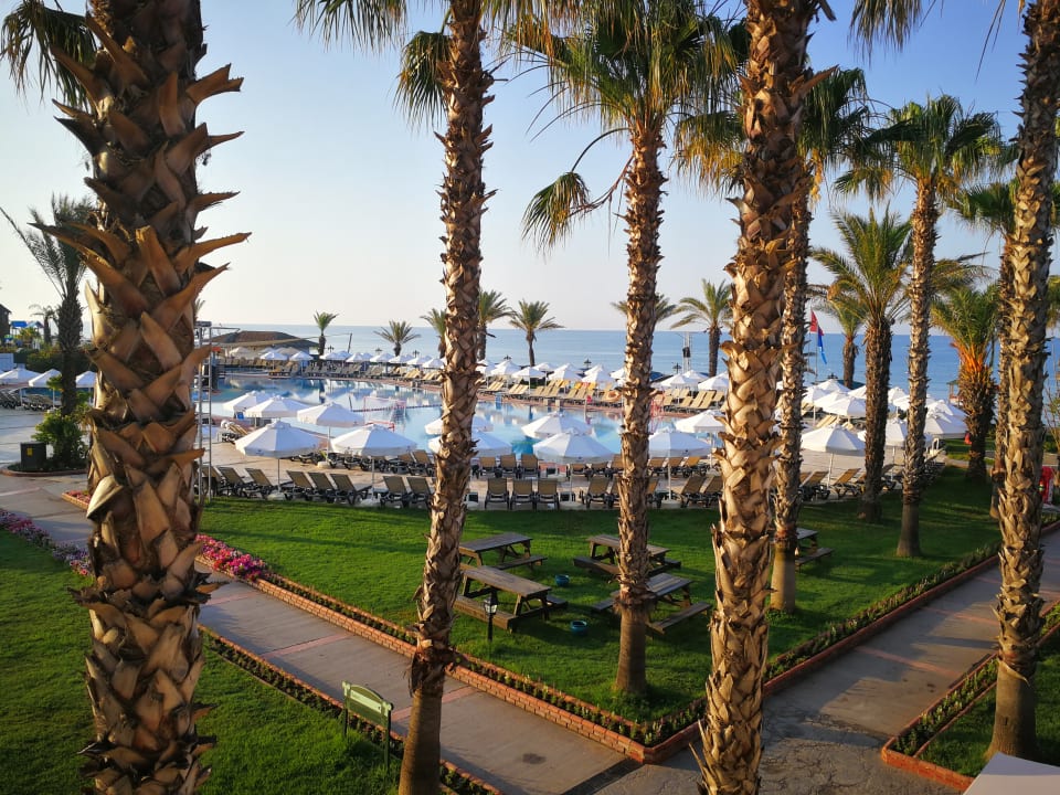 Ausblick Papillon Belvil