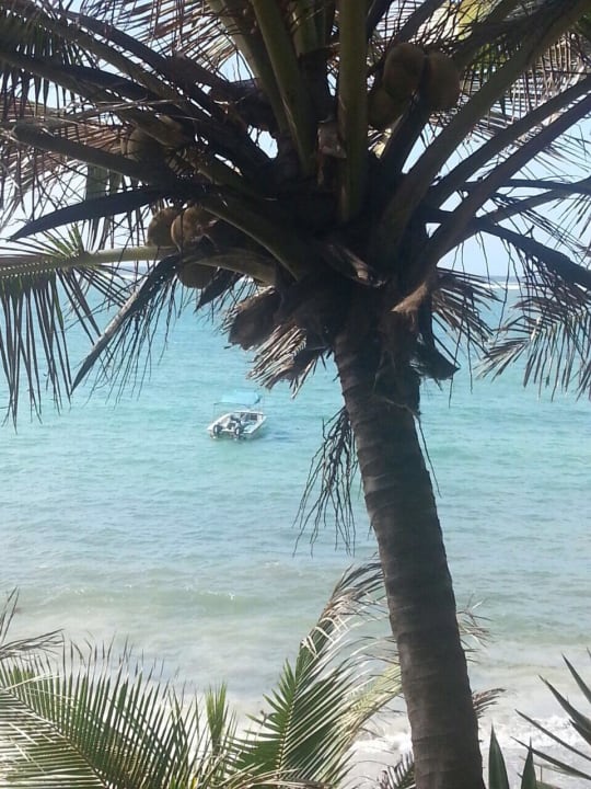 Bahari Beach Hotel Bahari Beach Hotel