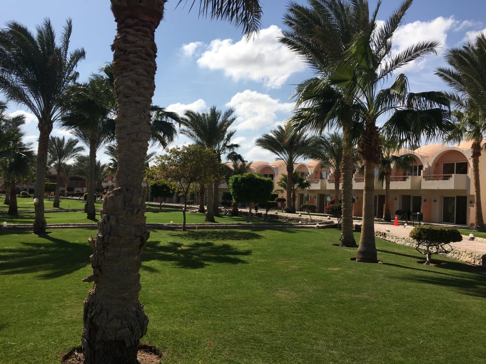 Gartenanlage Three Corners Sea Beach Resort