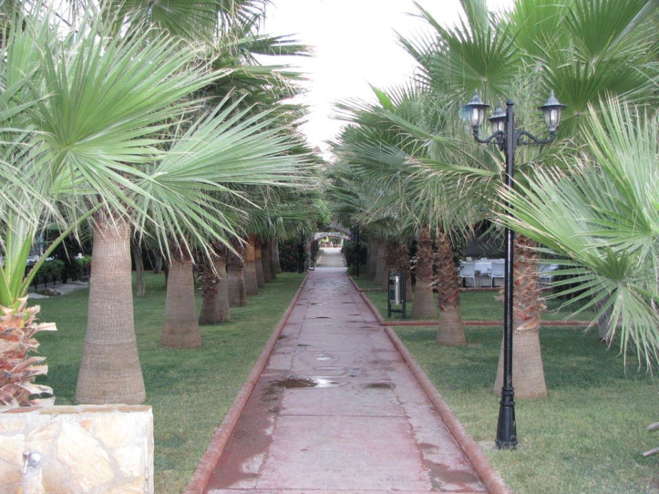 Weg zum Strand Hotel Royal Garden Beach