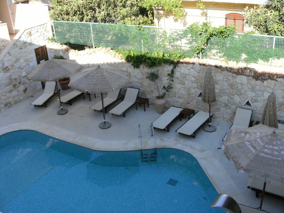 Der kleine Pool Cactus Royal