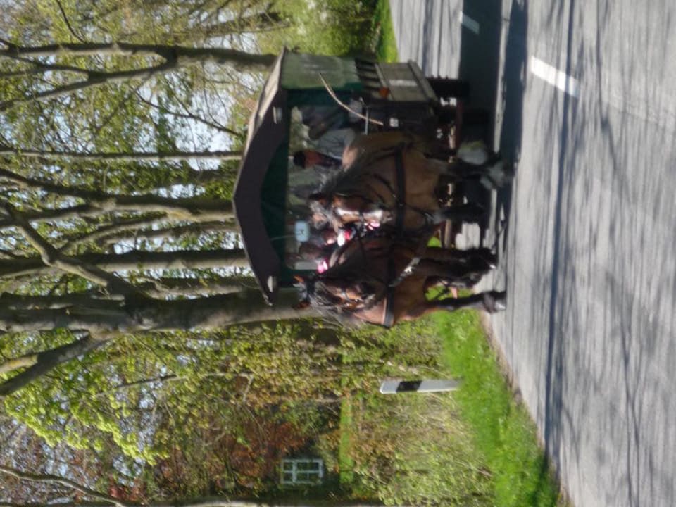 Ben & Hanni vorm Planwagen Ferienhof Frieslandstern