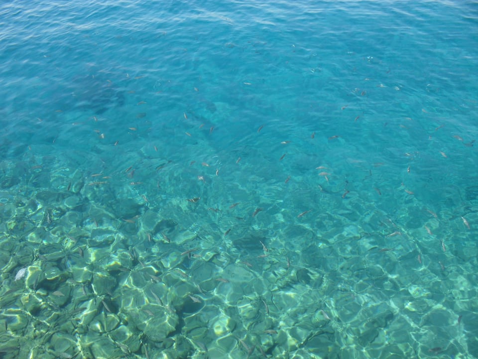 Aqua Vista Resort & Spa Pickalbatros Aqua Vista Resort - Hurghada