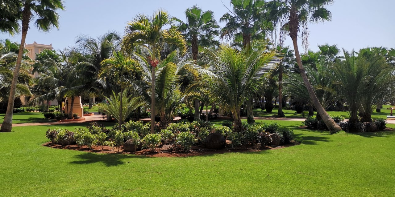 Gartenanlage Hotel Riu Touareg