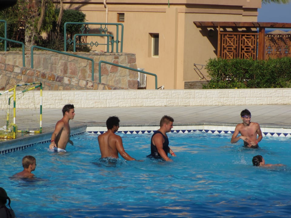 Вотерполо Imperial Shams Abu Soma