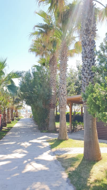 Gartenanlage Saturn Palace Resort Hotel