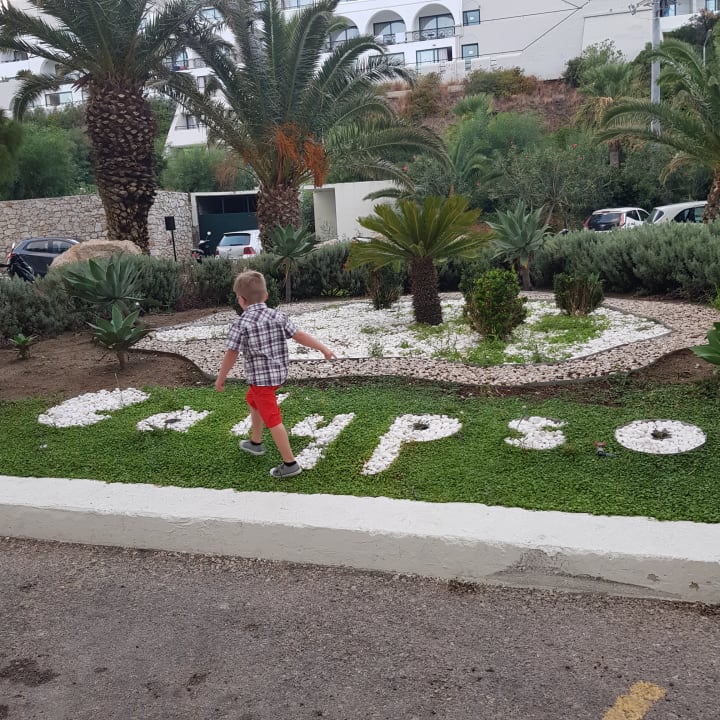 Gartenanlage Hotel Calypso Beach