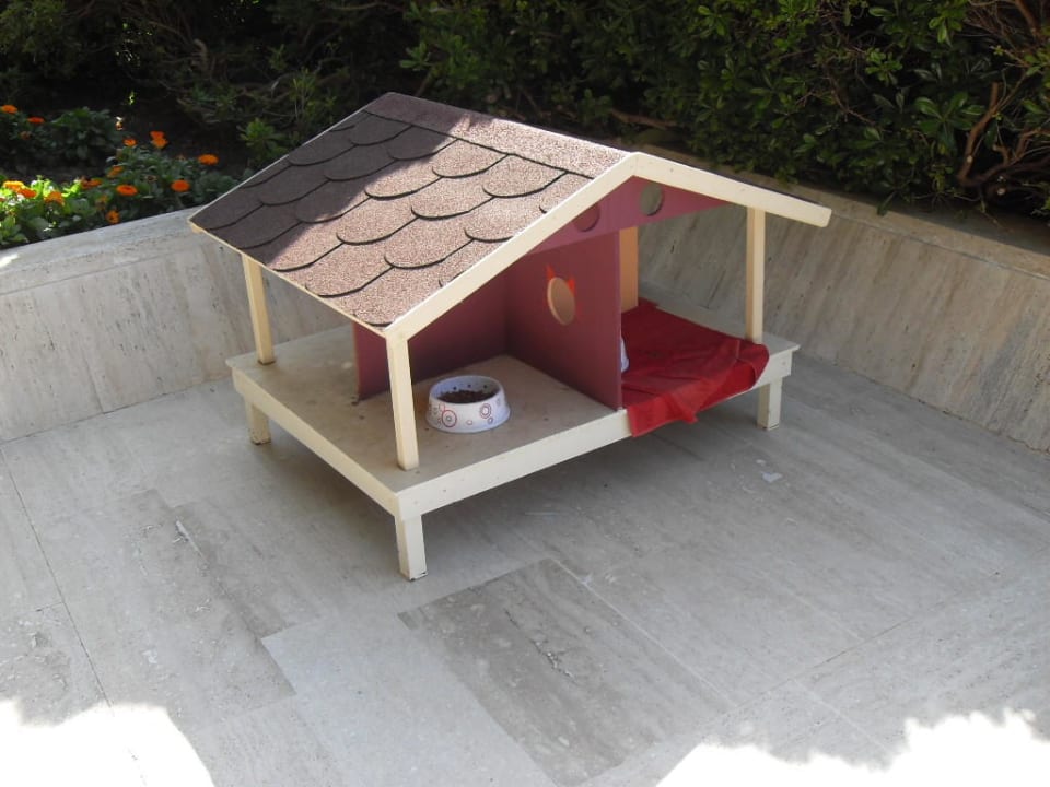 Kattenverblijf Side Star Elegance