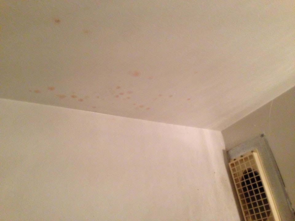 Schimmel Waldhotel Sindelfingen am Eichholz