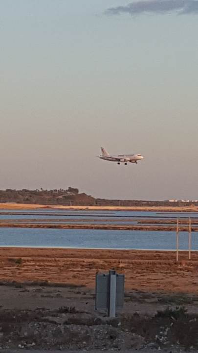 Ausblick Hotel Rosa Beach