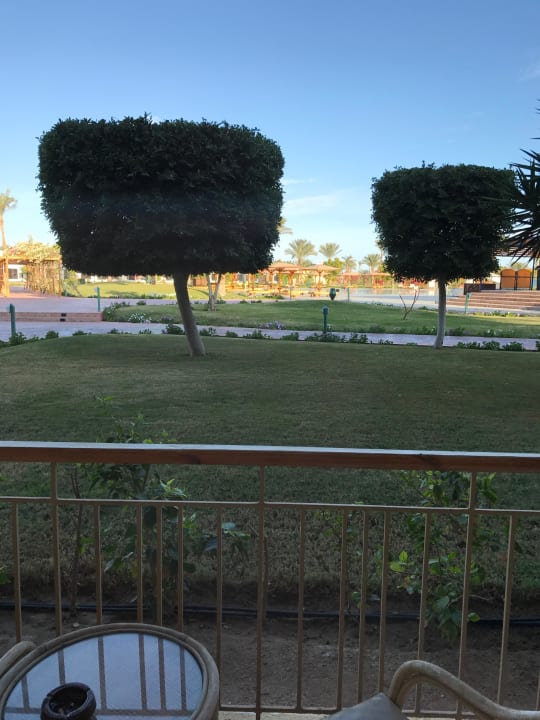 Blick aus meinem Zimmer Block 3000 Desert Rose