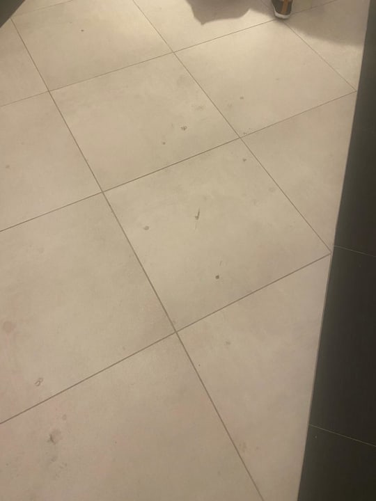 Lobby Well Palace Side