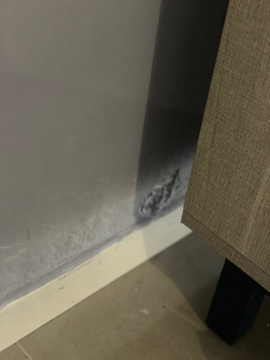 Zimmer TUI BLUE Tropea