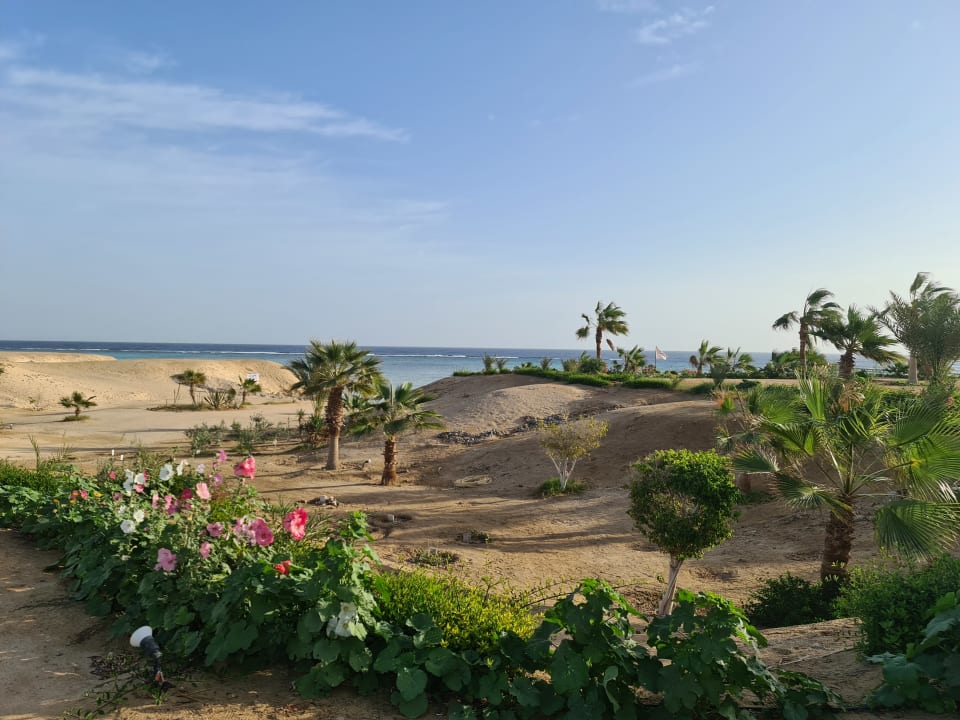 Gartenanlage Three Corners Fayrouz Plaza Beach Resort