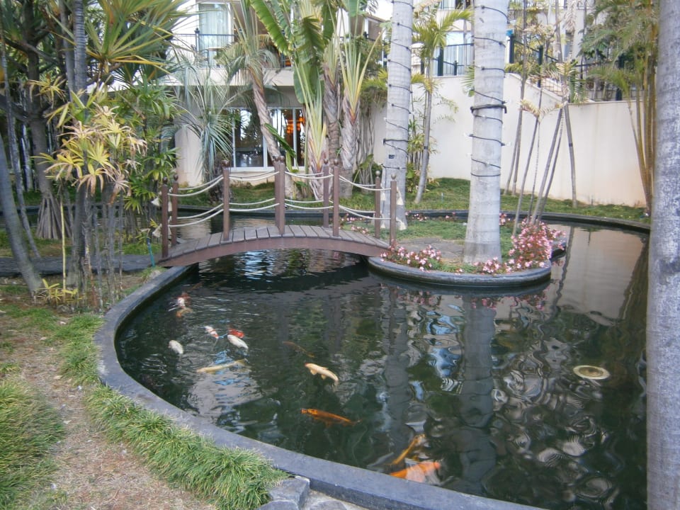 "Koi Karpfenteich" Pestana Royal Premium All Inclusive Ocean & Spa