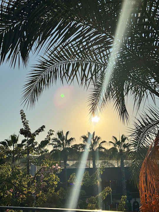 Ausblick Dream World Palace Hotel