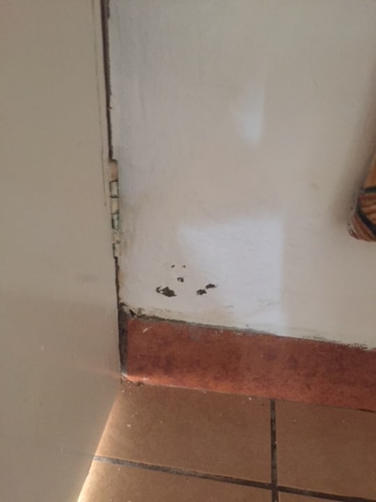 Zimmer Neptune Village Beach Resort & Spa