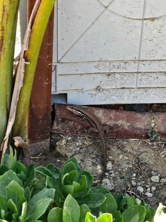 Sonstiges Bella Resort & Spa