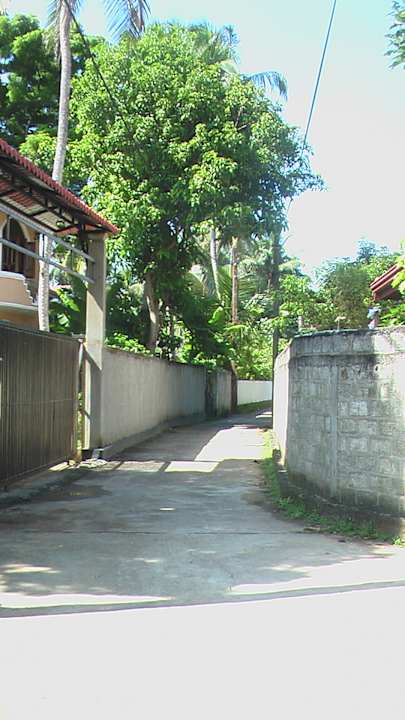 Sonstiges Sunshine Guesthouse