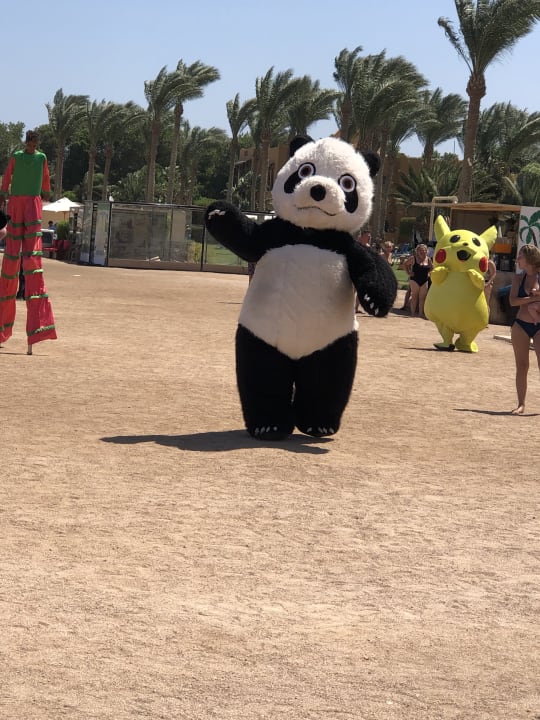 Sport & Freizeit Stella Garden Resort & Spa, Makadi Bay