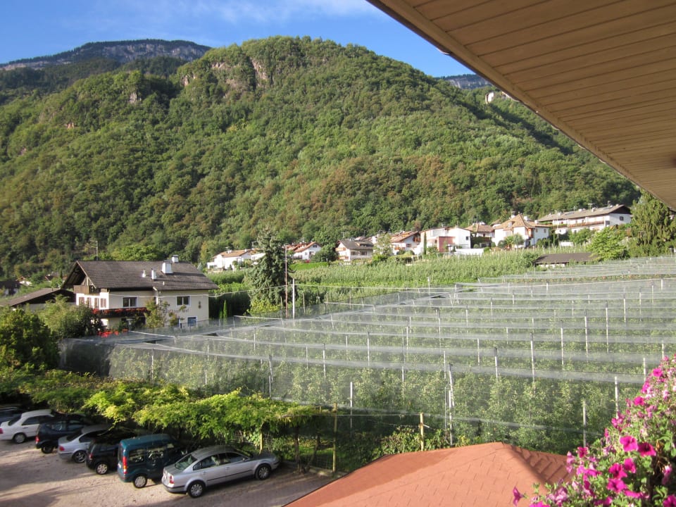 Ausblick Gardenhotel Wilma