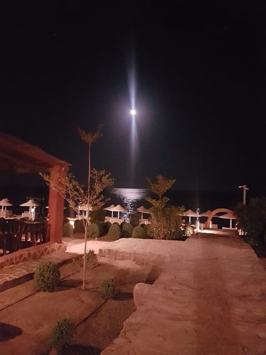 Ausblick Pickalbatros Villaggio Resort - Portofino