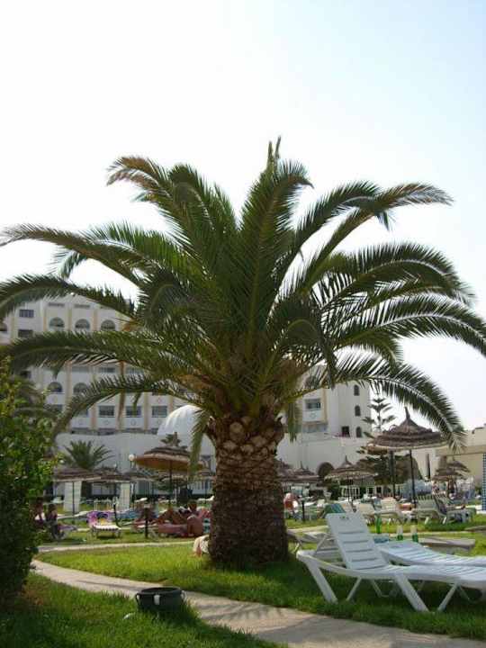 Poolanlage Hotel Tej Marhaba