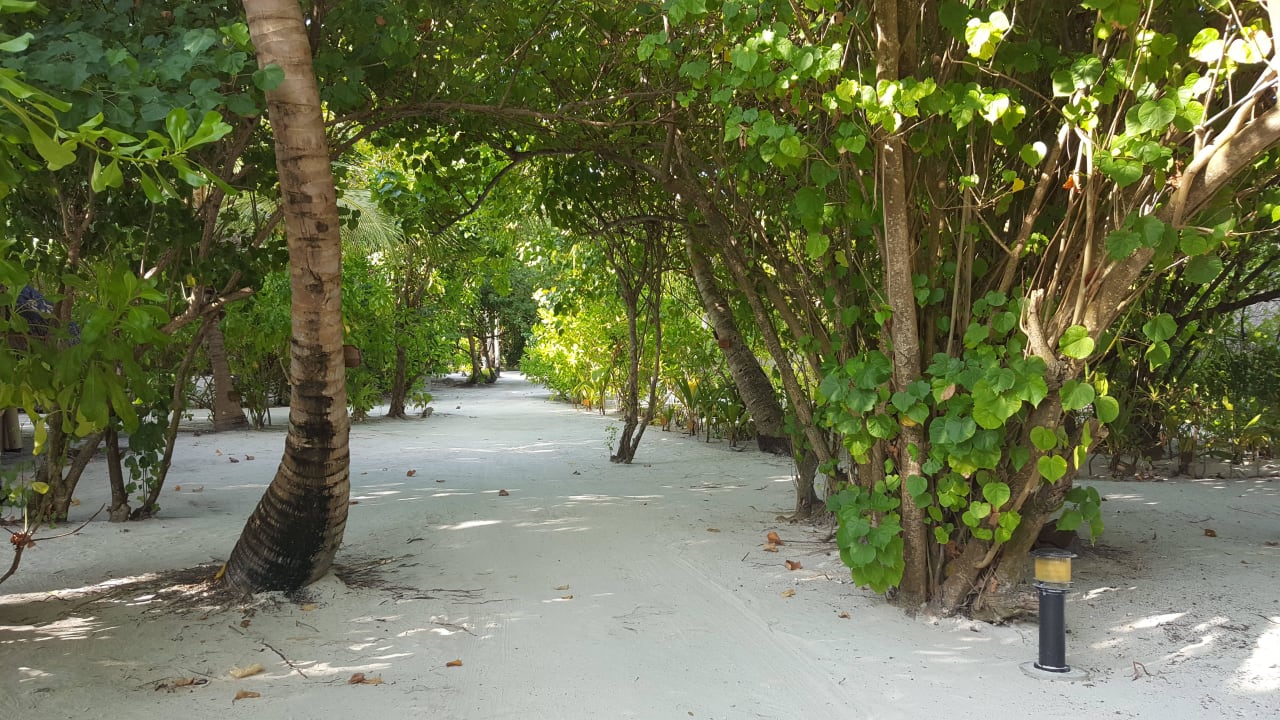 Weg von den Wasservillen zum Restaurant Medhufushi Island Resort
