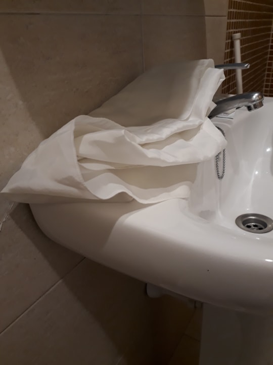 Zimmer MLL Palma Bay Club Resort