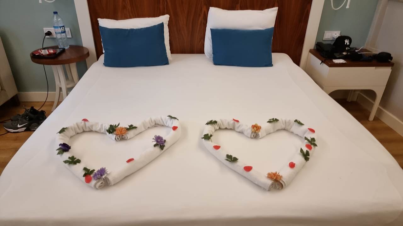 Zimmer Seashell Vega