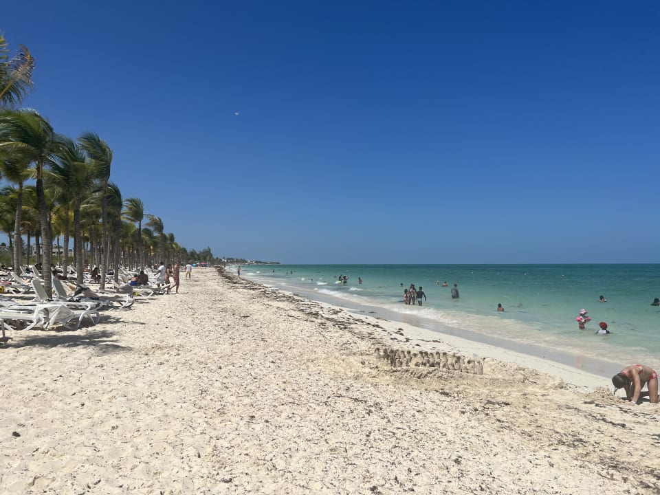 Strand Hotel Riu Dunamar