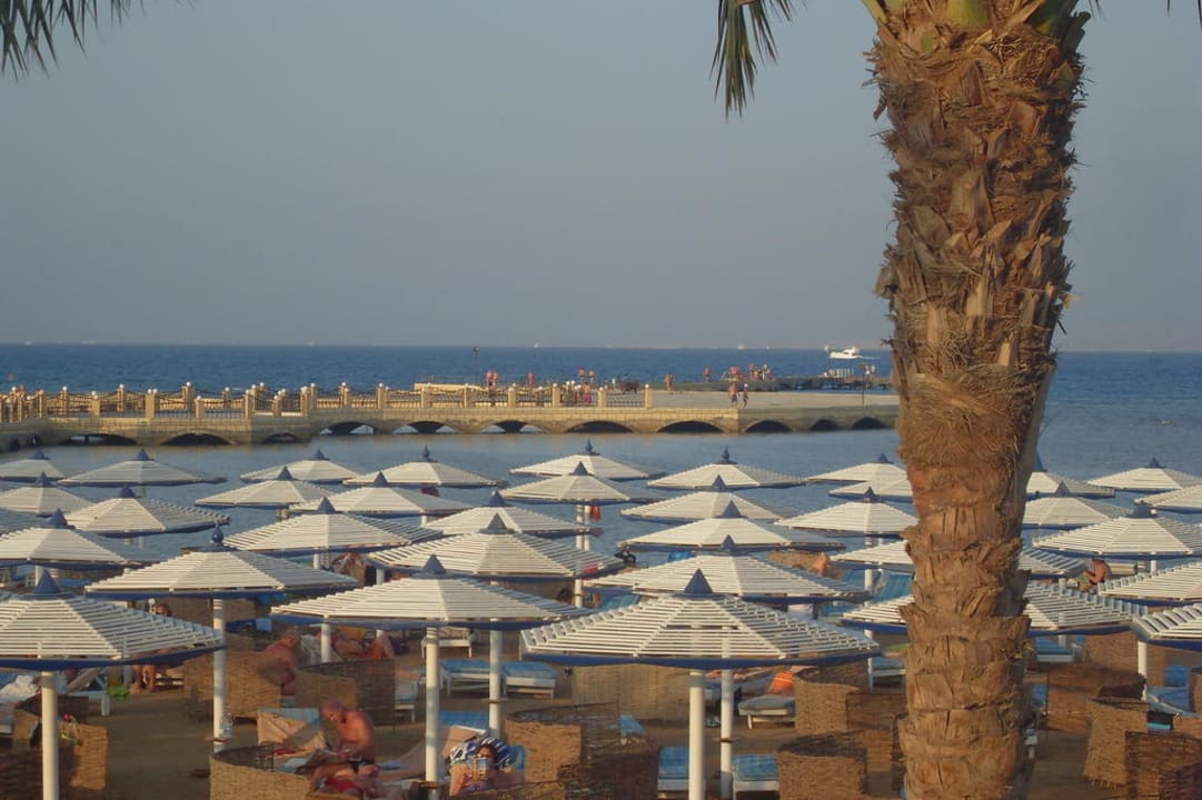 Ausblick vom Balkon Pickalbatros Dana Beach Resort - Hurghada