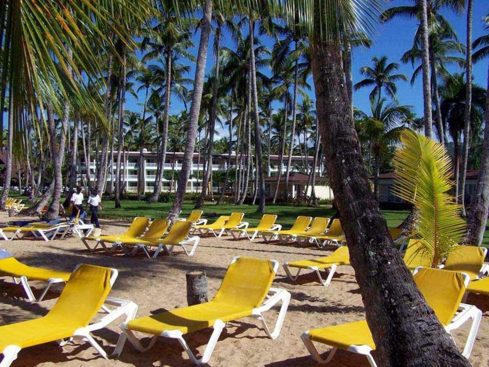 Hotelstrand Viva V Samana by Wyndham – Adults Only